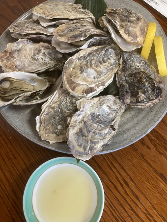 �y2026�N1��17��(�y)�o���z�������Ă��킽�Ȃ׃R�[�X���u�x�p�̉��y���嗿���I