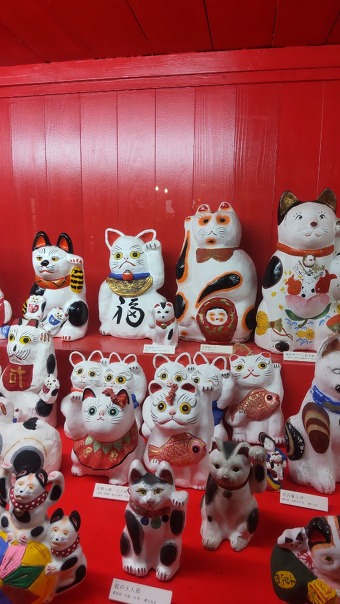 �y2026�N2��21��(�y)�o���z�L���a�I(=^�E^=)�ŔL�̂��������Ə����L���p��(=^�E^=)