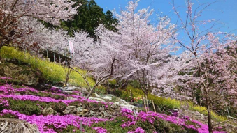 �y2026�N4��12��(��)�o���z�l�C�ē��l�ƍs���I���R�̏t���I���߂���ΔȂ̍��Ƒ�쑺������ՁE���΂�����Ձ��R�쑐�̑ۖ~�͑̌�