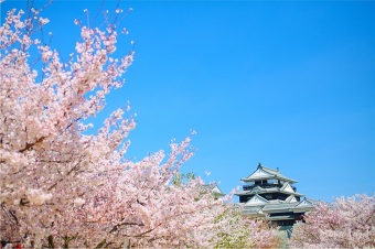 �y2026�N4��3��(��)�o���z���R�邳����Ղ�ƂӂȂ�̃����`�v���[�g��