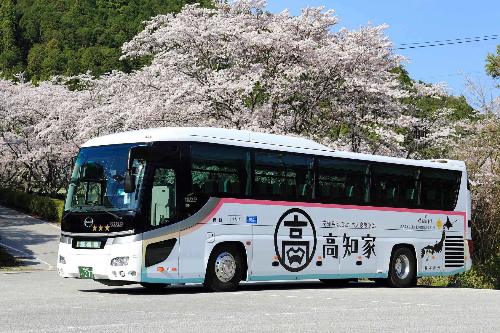 『大型バス車両紹介（277）（384）』『中型バス車両紹介（517）』を更新しました！桜舞う香北町吉野で撮影した大型バスと、高知港で撮影をした中型バスです♪
